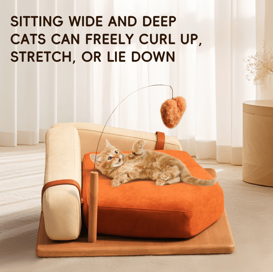 Modern furniture-style Pet Bed with Oak Veneer and Removable Cushion for Medium to Large Dogs