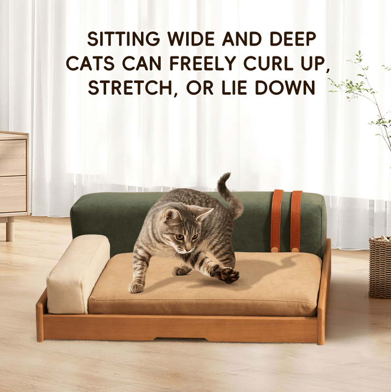 Modern furniture-style Pet Bed with Oak Veneer and Removable Cushion for Medium to Large Dogs