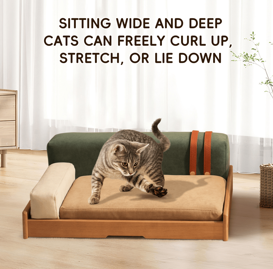 Modern furniture-style Pet Bed with Oak Veneer and Removable Cushion for Medium to Large Dogs