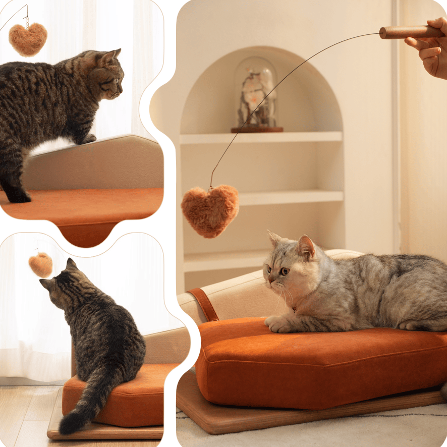 Modern furniture-style Pet Bed with Oak Veneer and Removable Cushion for Medium to Large Dogs