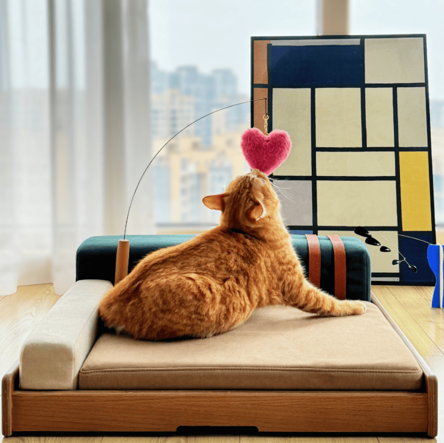 Modern furniture-style Pet Bed with Oak Veneer and Removable Cushion for Medium to Large Dogs