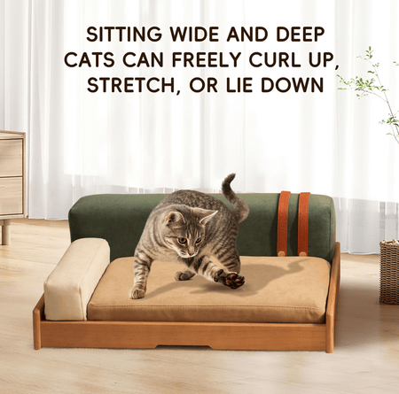 Modern furniture-style Pet Bed with Oak Veneer and Removable Cushion for Medium to Large Dogs