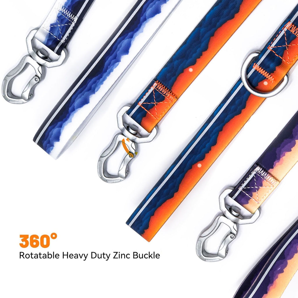 Walk Your Dog Safely at Night with Our Reflective Leash Set