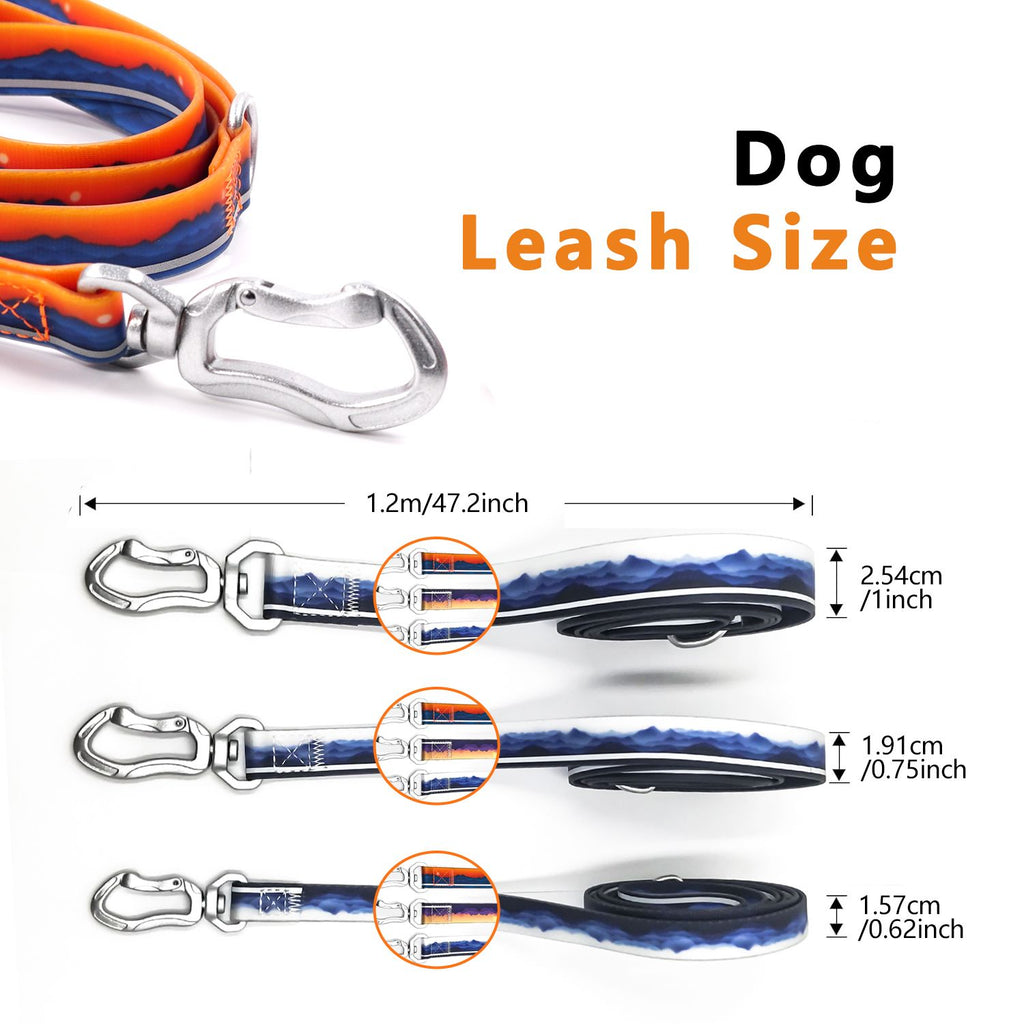 Walk Your Dog Safely at Night with Our Reflective Leash Set
