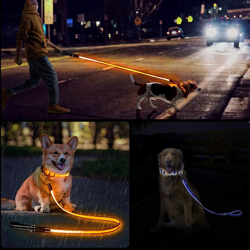 Walk Your Dog Safely at Night with Our Reflective Leash Set