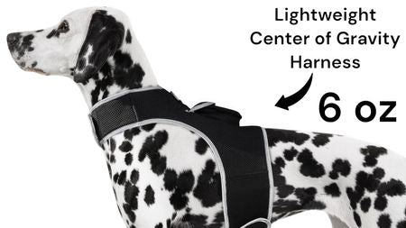 Affordable GPS Pet Collar Realtime Rechargeable Tracking System for Cats & Dogs Size:S