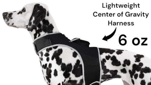 Affordable GPS Pet Collar Realtime Rechargeable Tracking System for Cats & Dogs Size:S