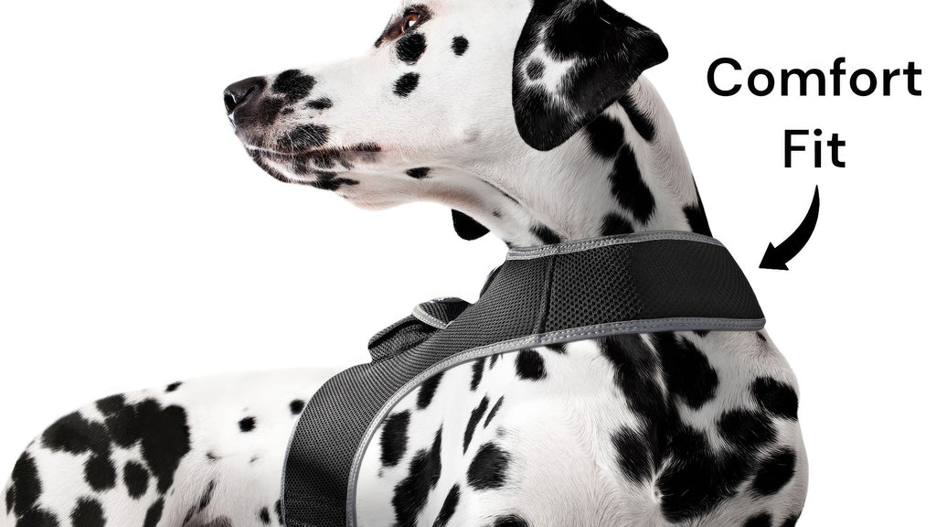 Affordablei GSM GPRS Realtime Pet Tracker Portable GPS Tracking Device Size:L