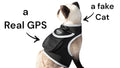 Keep Tabs on Your Pet Anywhere – Affordable GPS Tracking Harness
