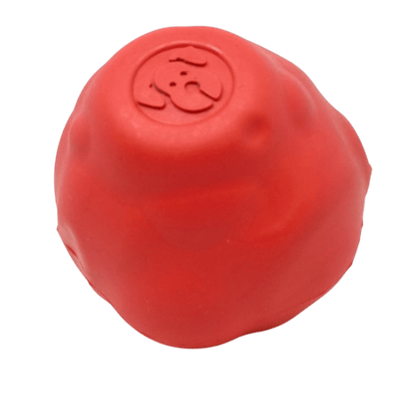 Asteroid Ultra-everyday chew-focused Dog Chew Toy for Heavy Chewers