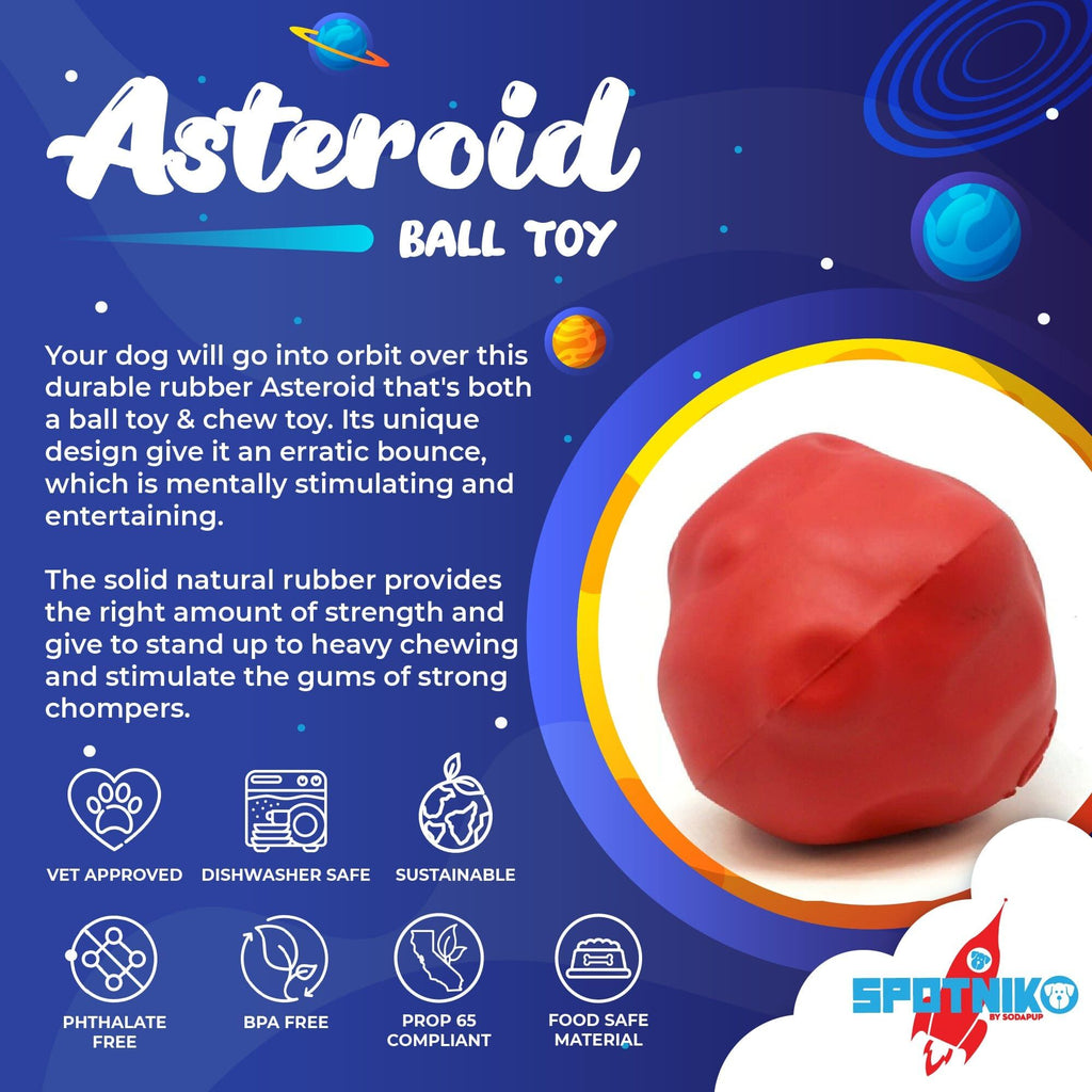 Asteroid Ultra-everyday chew-focused Dog Chew Toy for Heavy Chewers