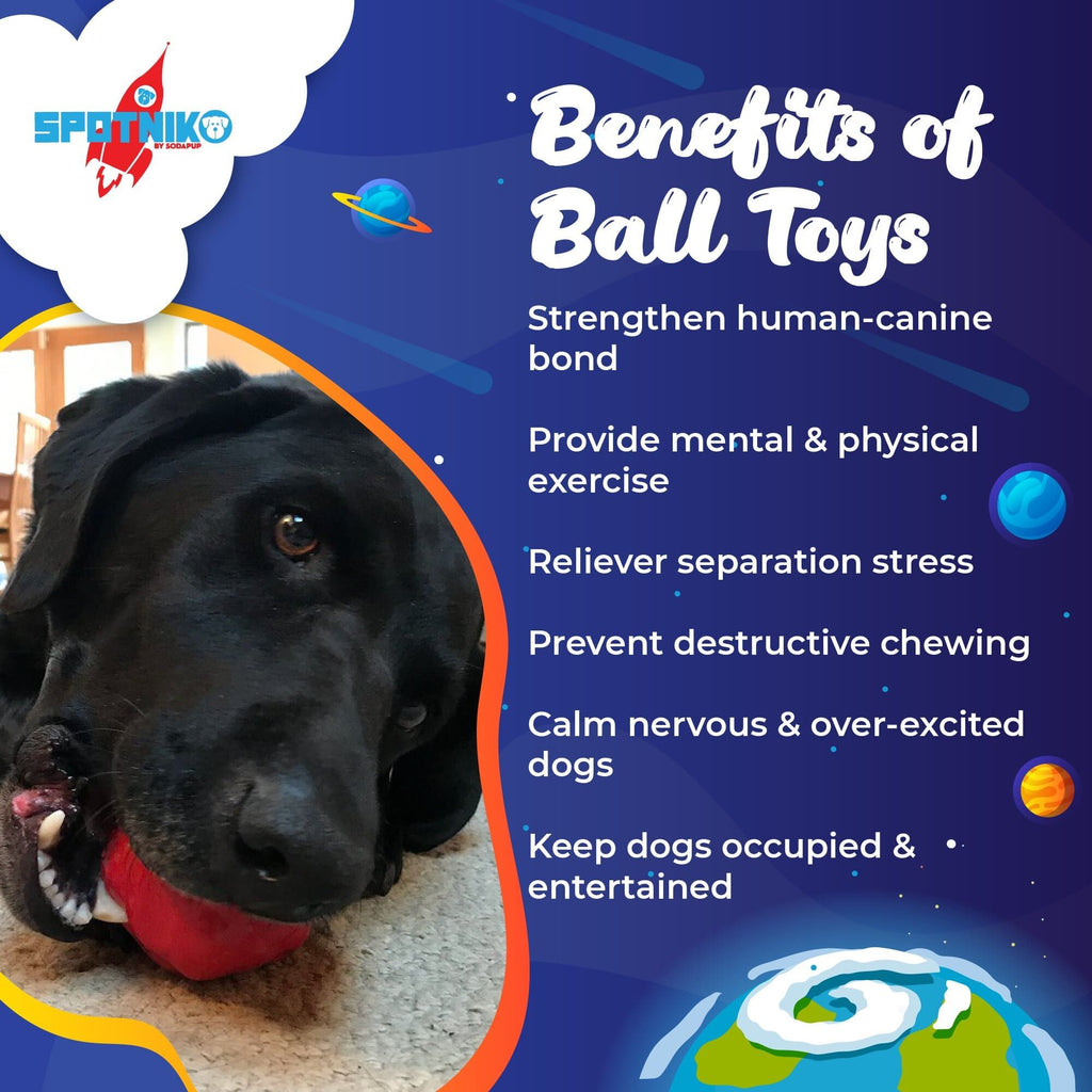 Asteroid Ultra-everyday chew-focused Dog Chew Toy for Heavy Chewers