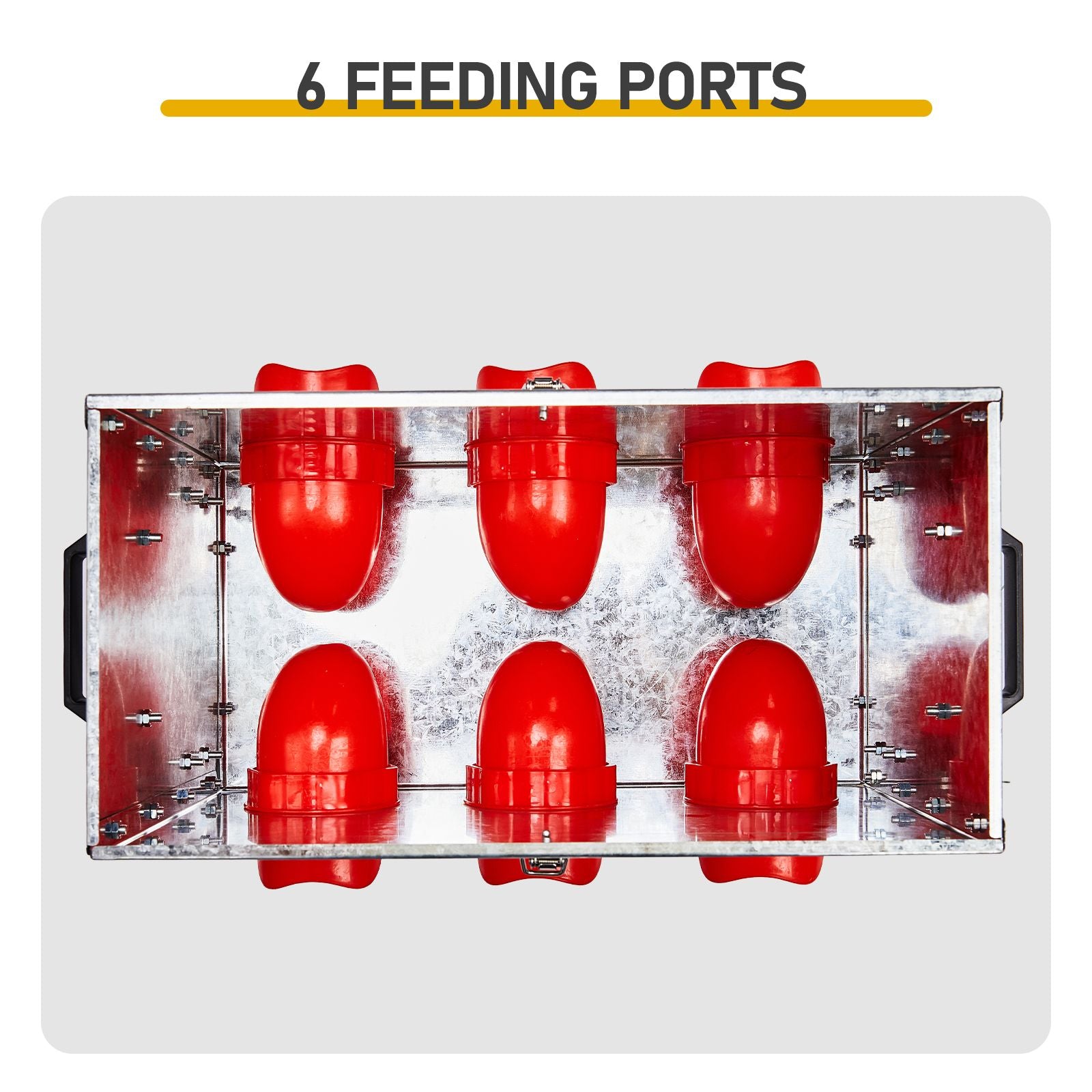 Automatic Chicken Feeder Rodent Proof, 6 Ports Large Capacity Metal Poultry Feeder with Legs and Lid, Galvanized Chicken Feeder for Hen Coop