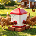 Keep Your Flock Fed with Our 40 lb Automatic Chicken Feeder