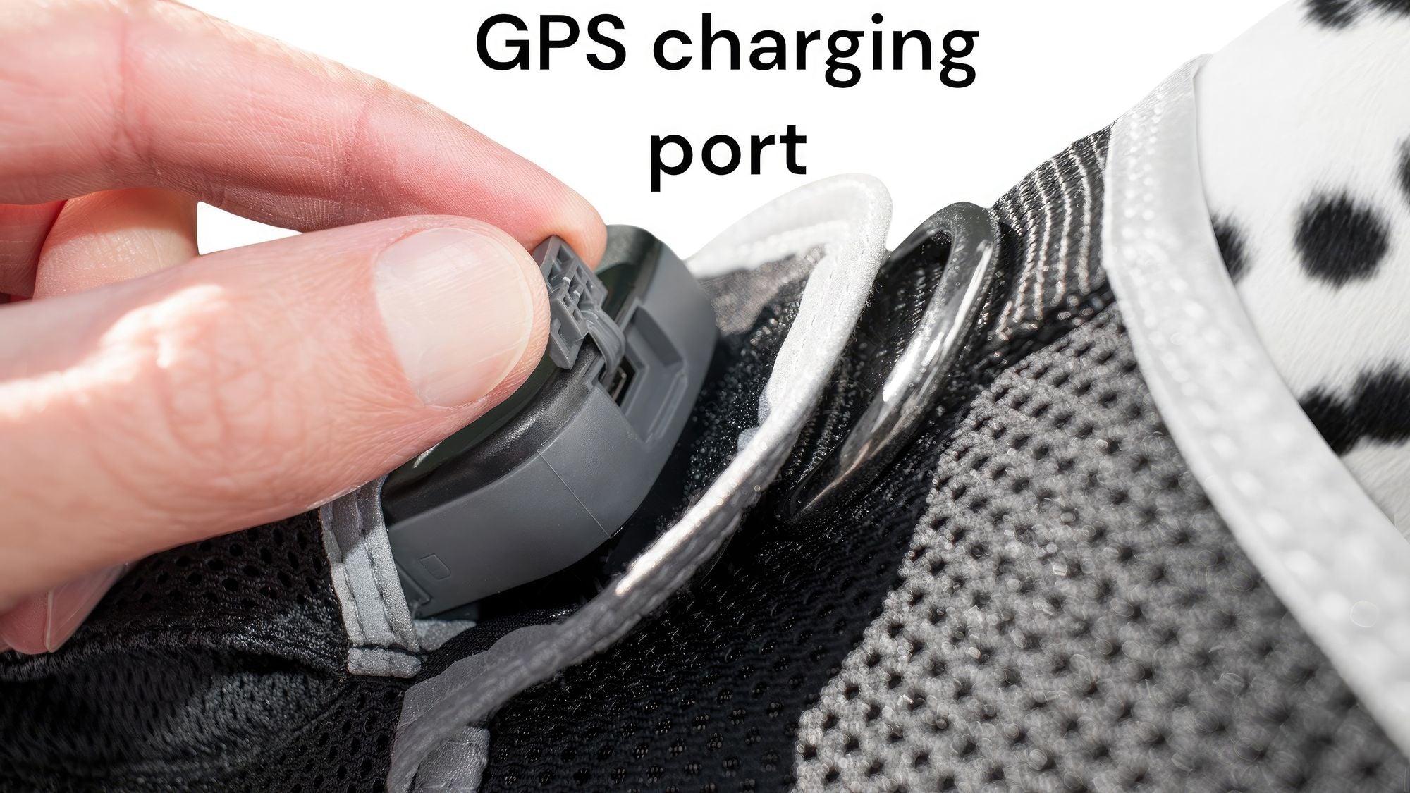 Never Lose Sight of Your Pet: GPS Tracking Harness with App