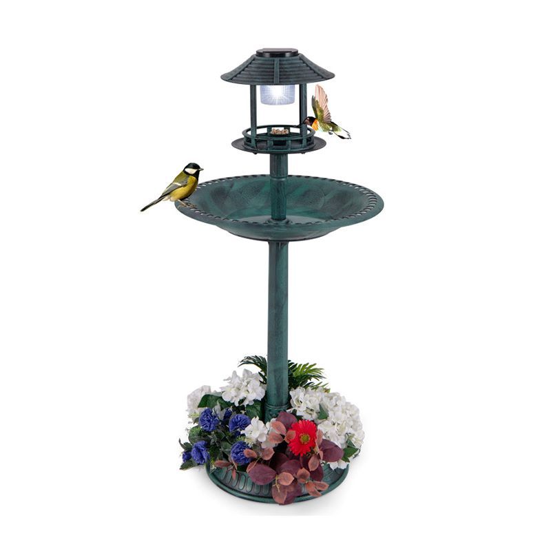 Solar-Powered Bird Bath Feeder with Perch Design