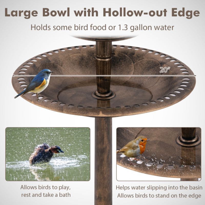 Solar-Powered Bird Bath Feeder with Perch Design