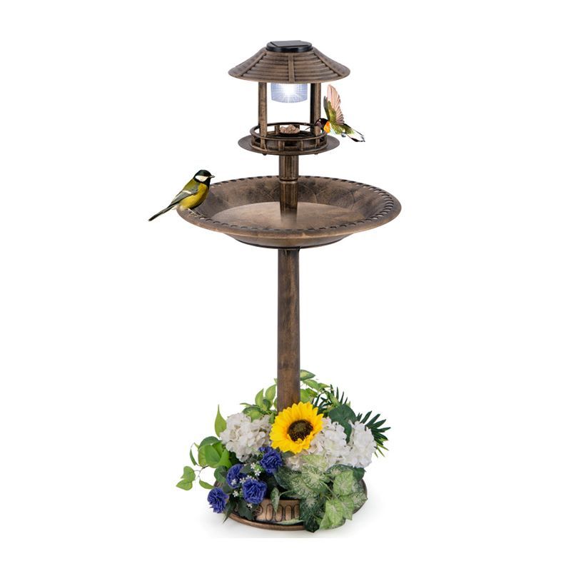 Solar-Powered Bird Bath Feeder with Perch Design