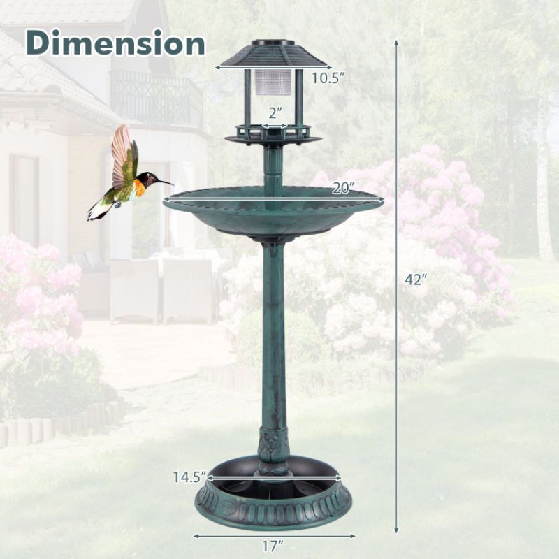 Solar-Powered Bird Bath Feeder with Perch Design
