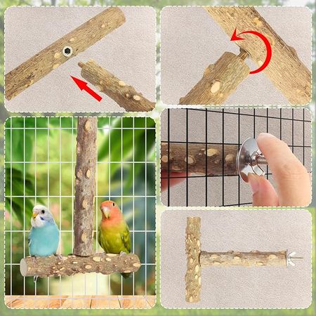 Natural furniture-style Bird Perches – 4 Pack, Safe for Small to Medium Birds