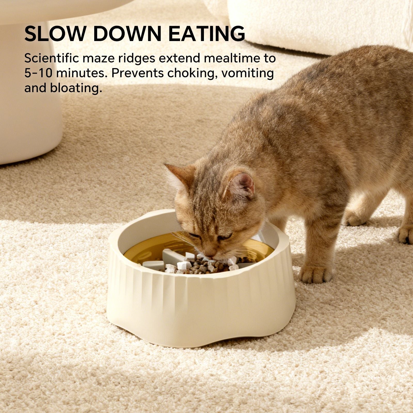 Switch Between Fast and Slow Feeding – Dual-Purpose Bowl for Happy, Healthy Pets