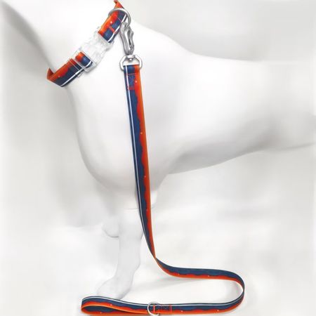 Water-ready Collar and Leash Set for Wet-Weather Dog Walks