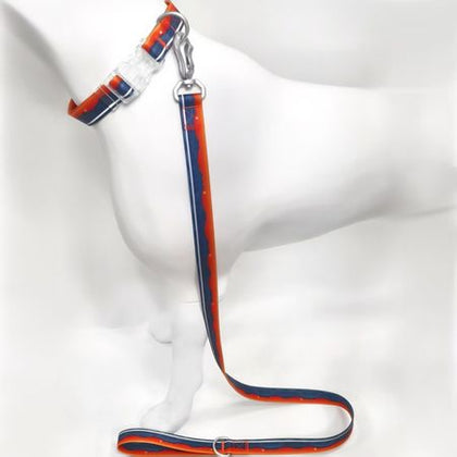 Water-ready Collar and Leash Set for Wet-Weather Dog Walks