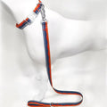 Water-ready Collar and Leash Set for Wet-Weather Dog Walks