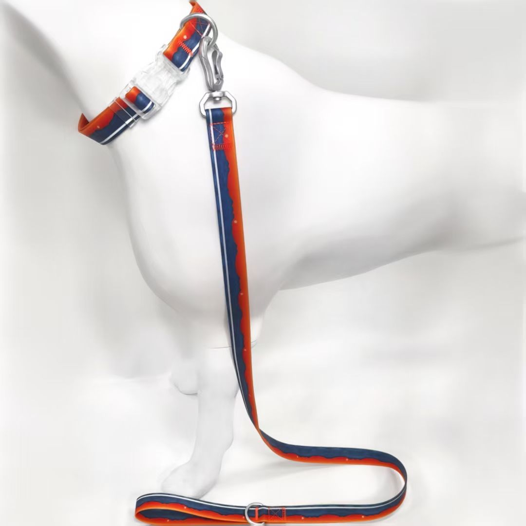Water-ready Collar and Leash Set for Wet-Weather Dog Walks