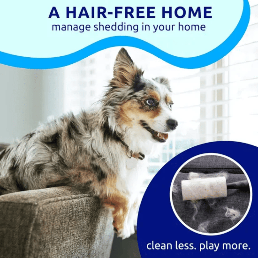 Blue pat your pet hair removal dog brush for hair removal - indoor cats use cat brush, long and short haired dogs use double-sided cat brush for hair removal and beauty tools, skin friendly