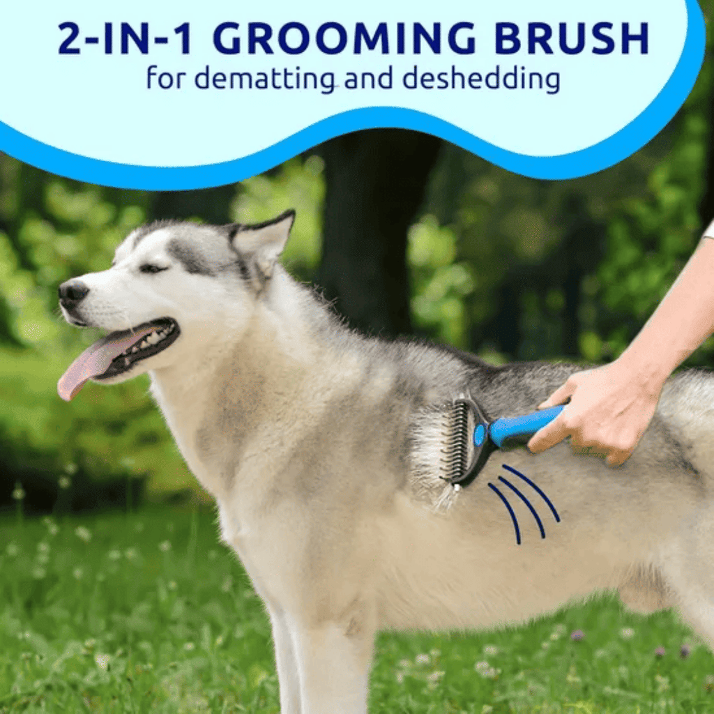 Blue pat your pet hair removal dog brush for hair removal - indoor cats use cat brush, long and short haired dogs use double-sided cat brush for hair removal and beauty tools, skin friendly