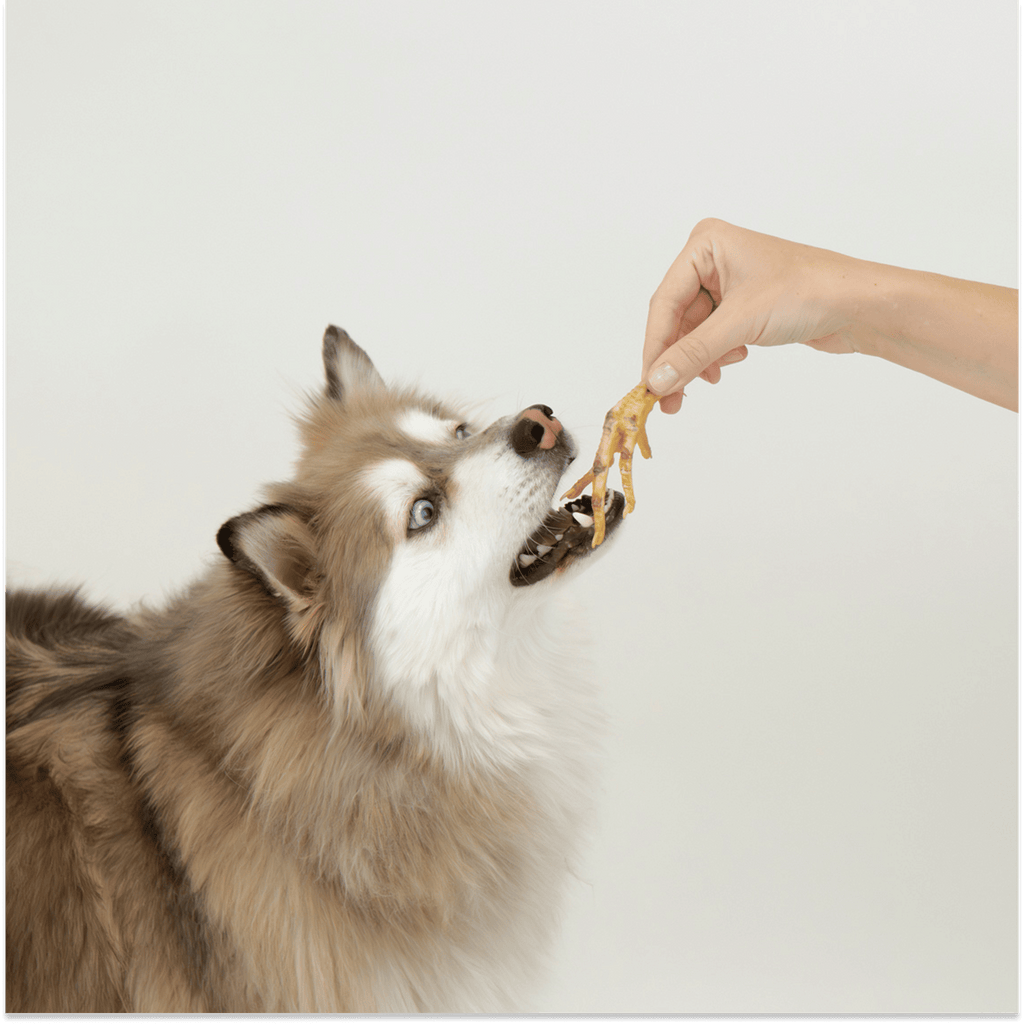 Crunchy Chicken Feet: Natural Glucosamine for Happy Joints