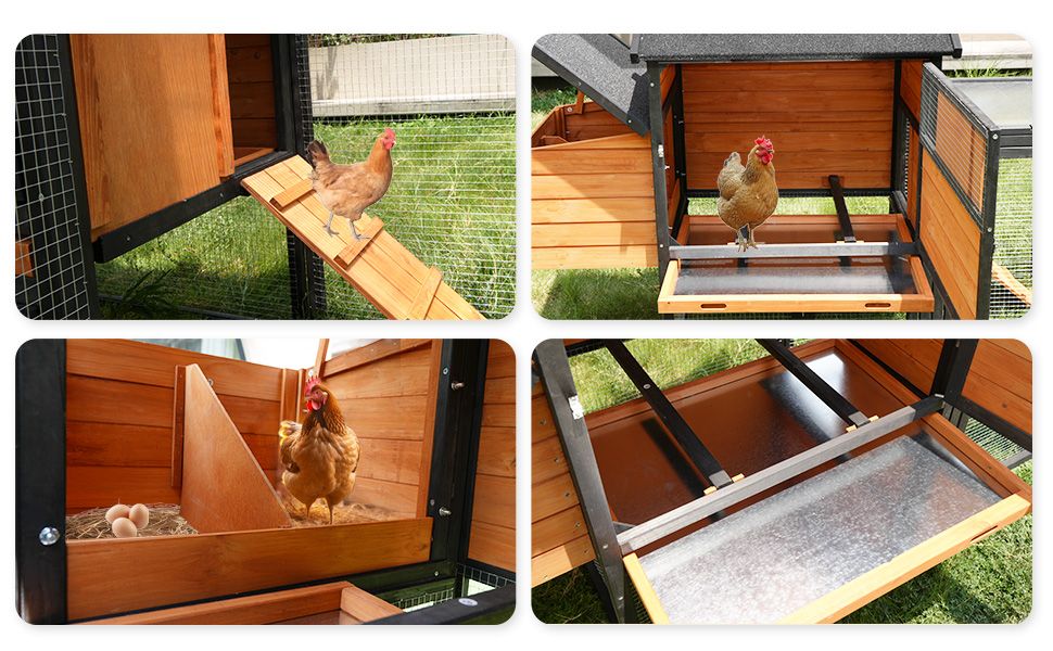 Large furniture-style Chicken Coop with Anti-UV Roof and Predator Defense