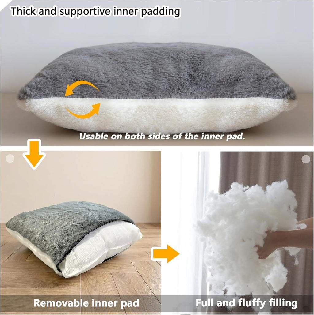 Indoor Cat Bed for Your Feline Friend