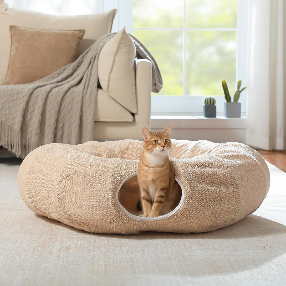 Doughnut Tunnel for Indoor Cats and Small Pets