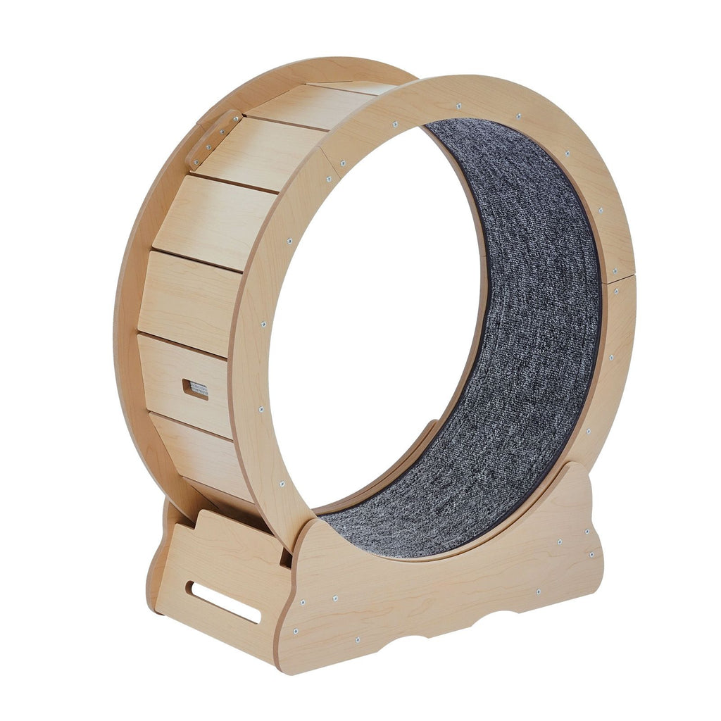 Cat Exercise Wheel, Large Cat Treadmill Wheel for Indoor Cats, 29.5 Cat Running Wheel with Deta