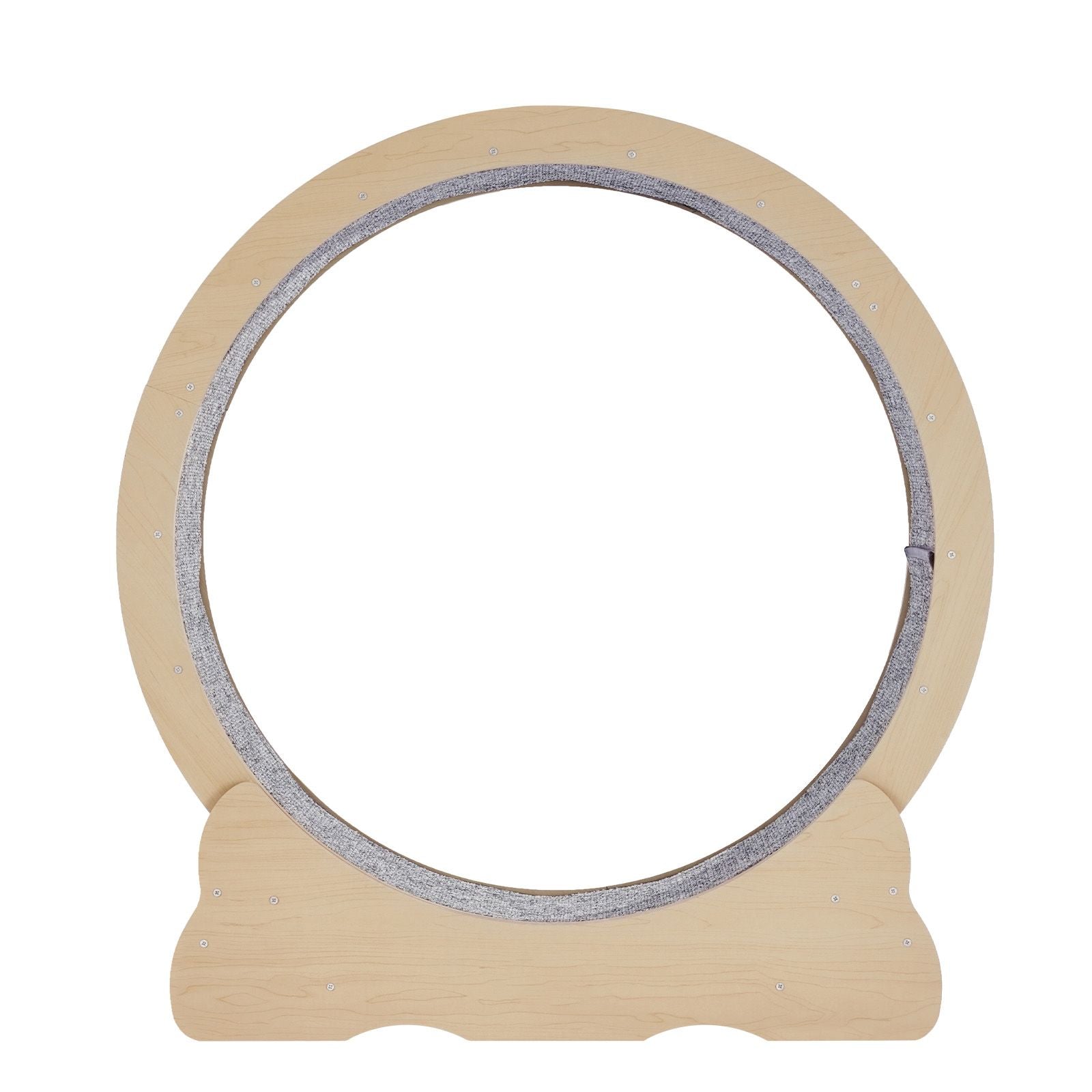 Sturdy Cat Exercise Wheel with Detachable Carpet and Noise Reduction