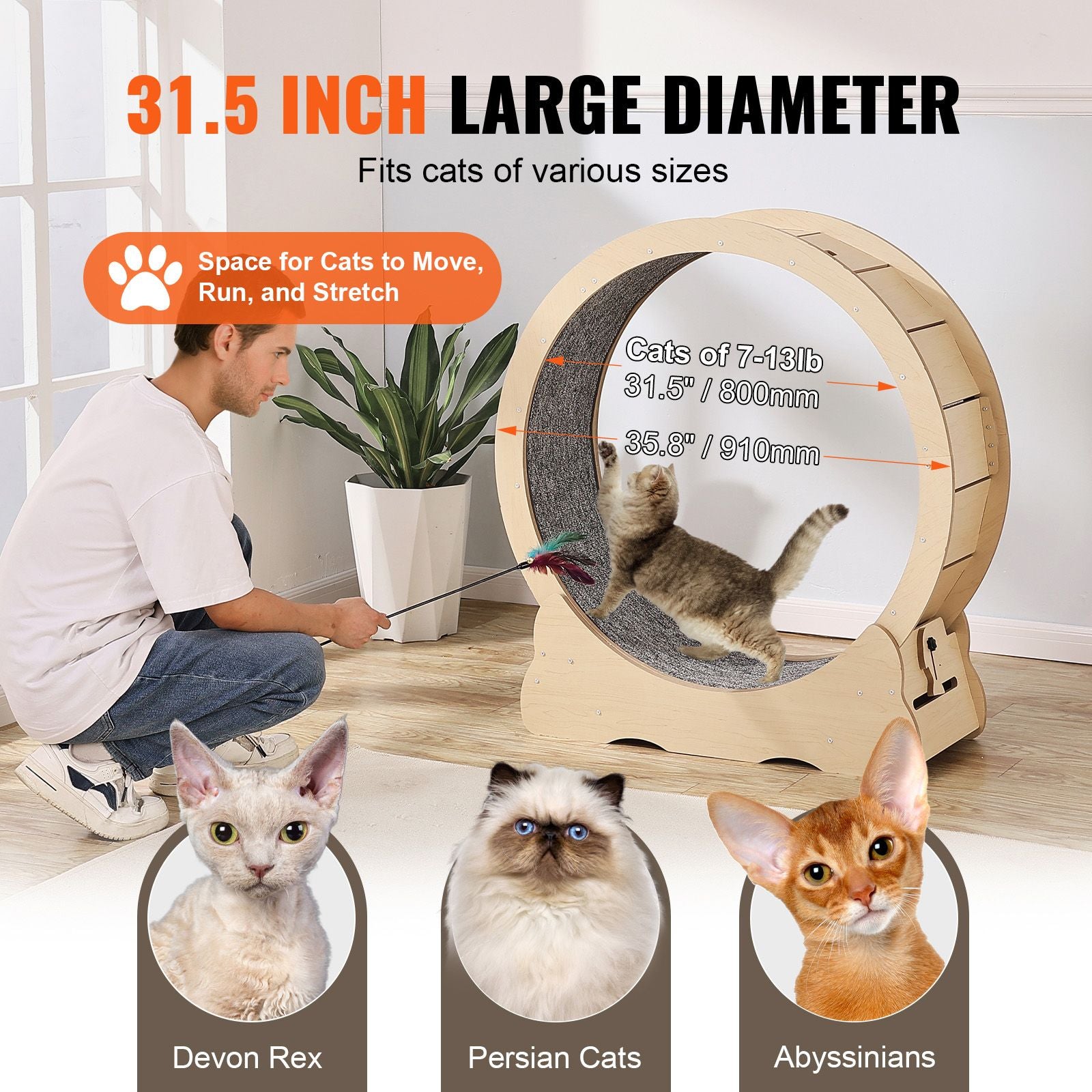 Sturdy Cat Exercise Wheel with Detachable Carpet and Noise Reduction