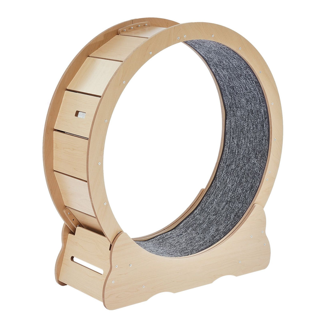 Sturdy Cat Exercise Wheel with Detachable Carpet and Noise Reduction