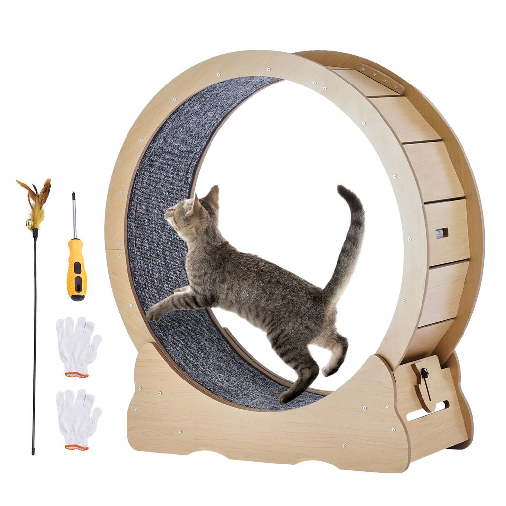 Sturdy Cat Exercise Wheel with Detachable Carpet and Noise Reduction