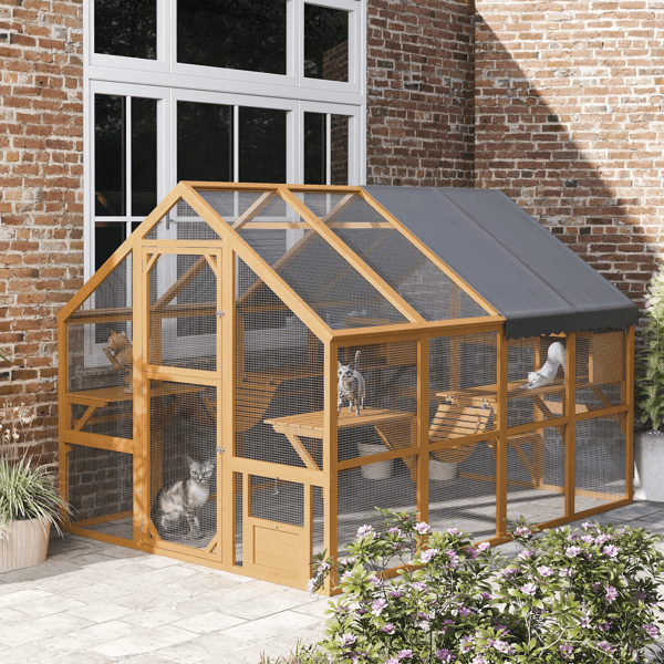 Spacious Outdoor Cat House with Condos and Platforms