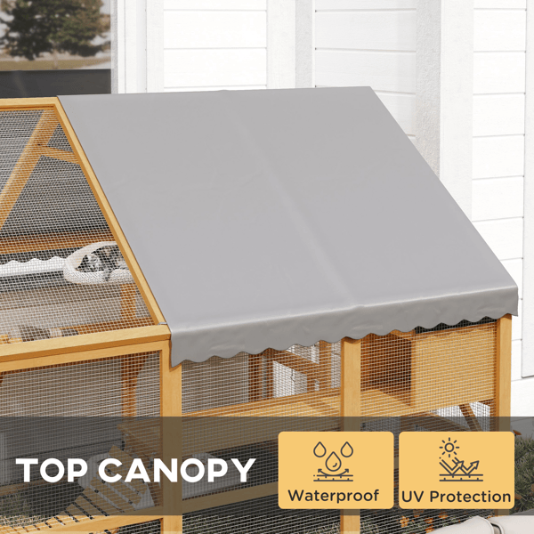 Spacious Outdoor Cat House with Condos and Platforms