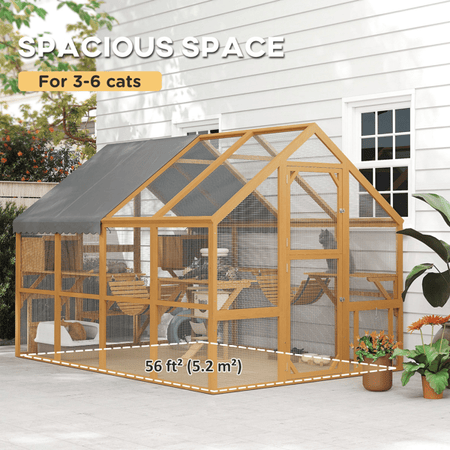 Spacious Outdoor Cat House with Condos and Platforms