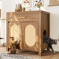 Multi-Purpose Cat Litter Box Enclosure with Hidden Storage