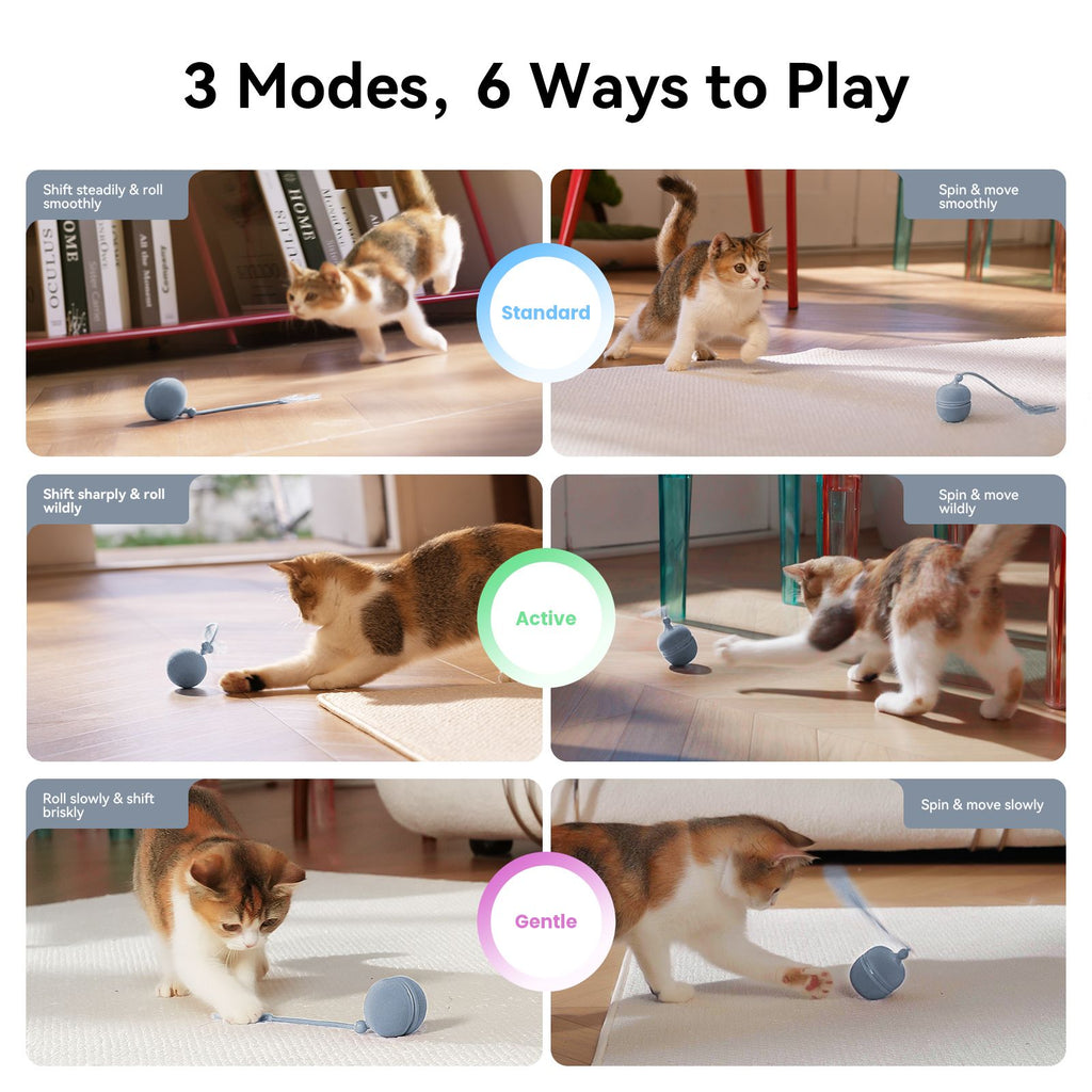 Cheerble Wicked Ball Duo2: Interactive Cat Toy with Interchangeable Shells