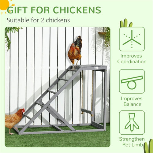 Chicken Coop Activity Center with Swing, Platform & Perches
