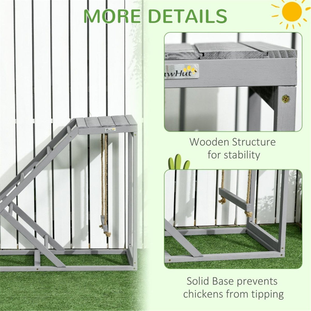 Chicken Coop Activity Center with Swing, Platform & Perches