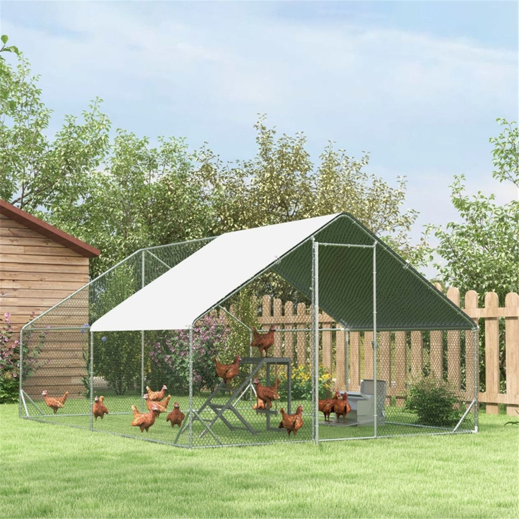 Chicken Coop Activity Center with Swing, Platform & Perches