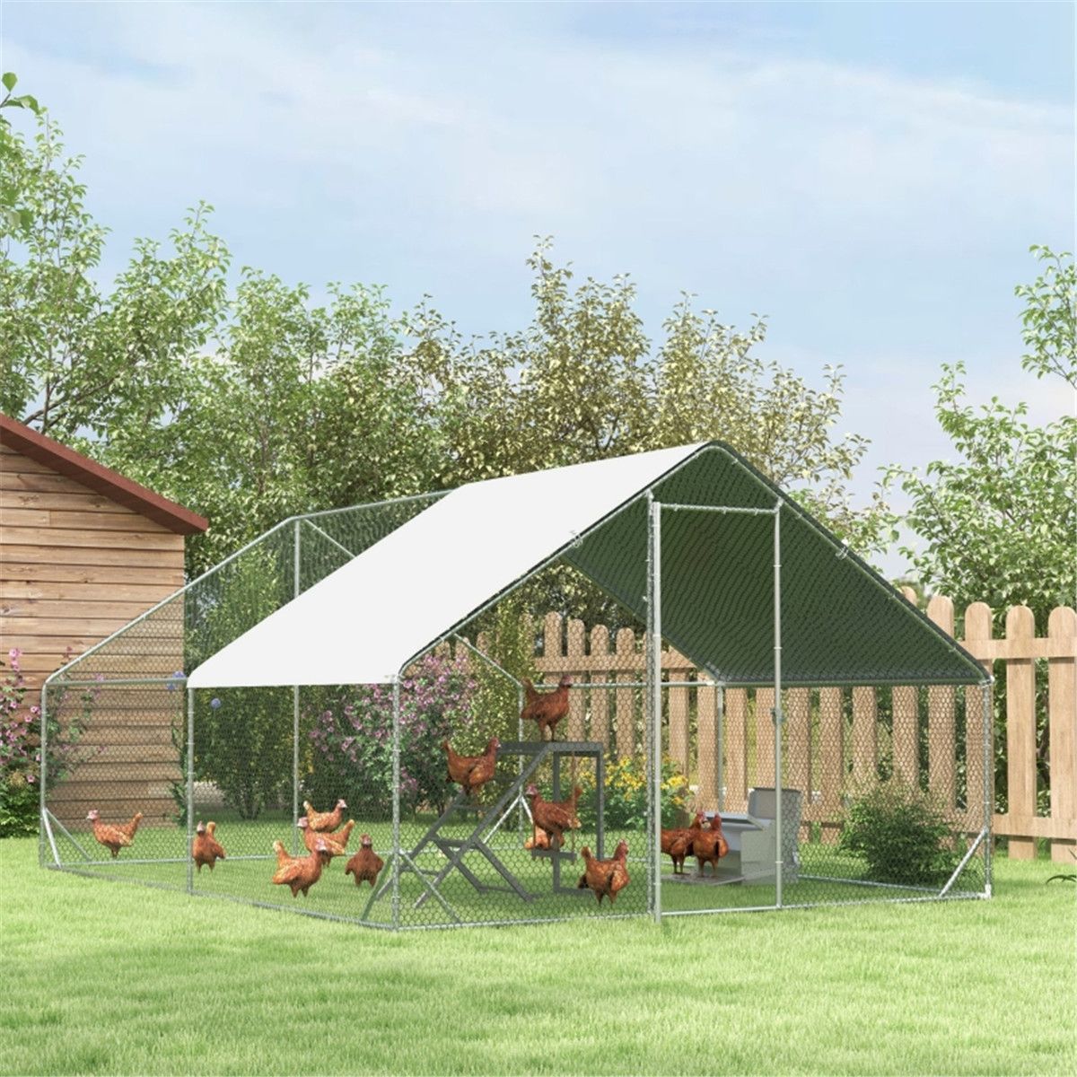 Chicken Coop Activity Center with Swing, Platform & Perches