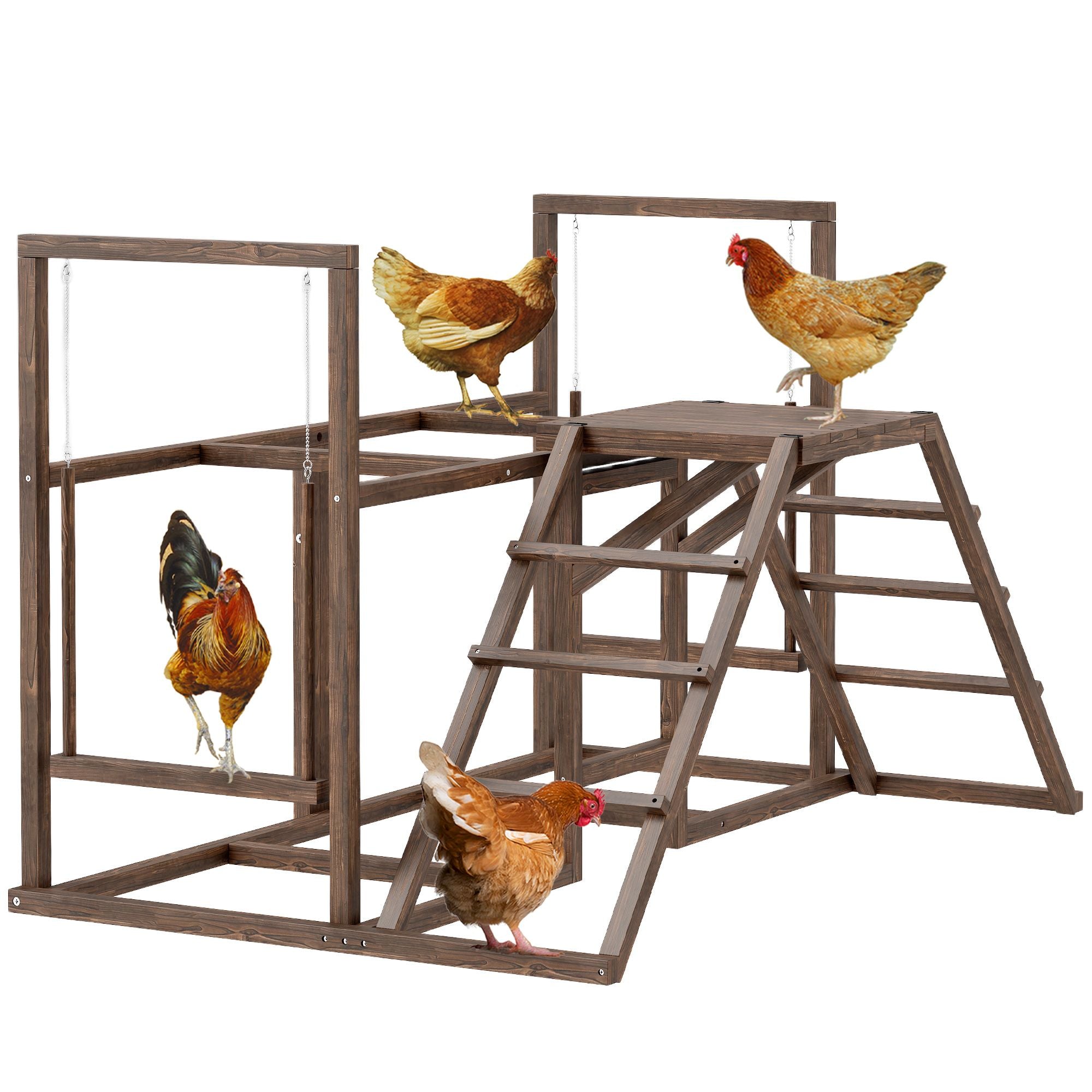 Give Your Flock a Fun & Active Playground – Chicken Activity Set with Swings & Perches